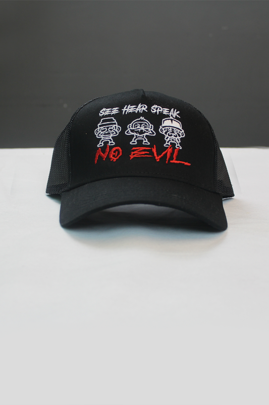 SEE NO EVIL HAT